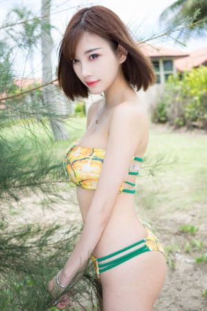 喜羊羊与灰太狼之羊村守护者9