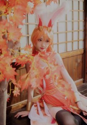野生厨房第二季免费版高清